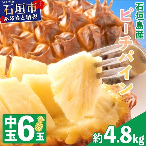 ＜先行予約＞石垣島産 中玉ピーチパイン 6玉 約4.8kg ＜2026年5月以降発送＞【 沖縄県石垣市 石垣島 フルーツ 果物 パイン 産地直送 】SI-119