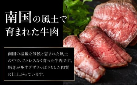 【順次発送】【注目の逸品】極上ローストビーフ 石垣島産《黒毛和牛》 200g | お肉 肉 牛肉 冷凍 和牛 牛肉 冷凍 丼 ジューシー 人気 おすすめ 国産 国産牛 小分け 八重山食肉センター