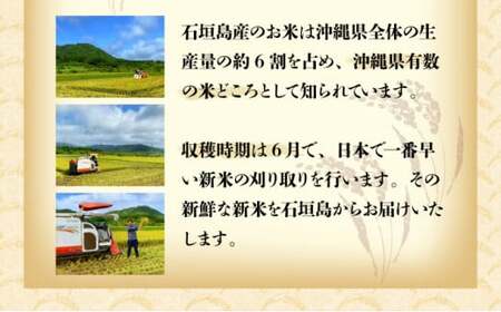 【石垣島産】日本最南端の日本一早い新米（清衛門）2kg×2袋 ｜ 沖縄 石垣 米 新米 こめ TN-01