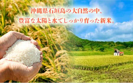 【石垣島産】日本最南端の日本一早い新米（清衛門）5kg ｜ 沖縄 石垣 米 新米 こめ TN-02