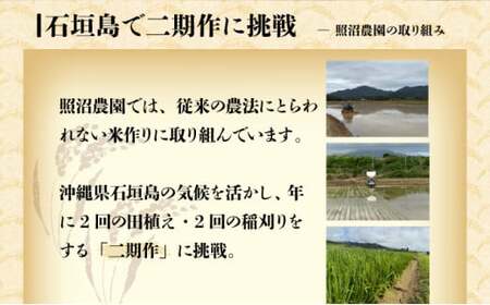 【石垣島産】日本最南端の日本一早い新米（清衛門）5kg ｜ 沖縄 石垣 米 新米 こめ TN-02
