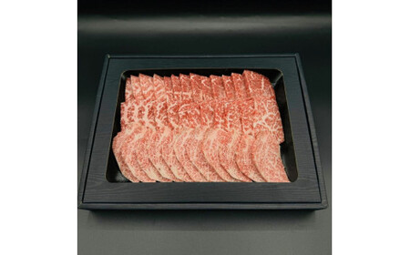 石垣牛 特選 モモ 焼肉 400g E-43