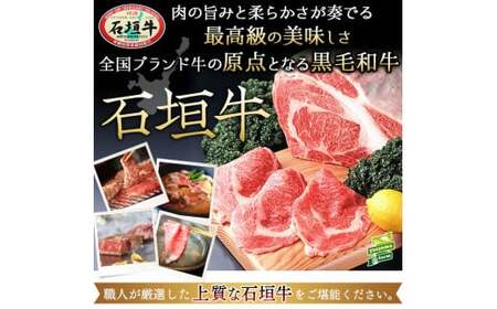 石垣牛 特選 モモ 焼肉 400g E-43