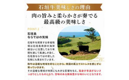 石垣牛 特選 モモ 焼肉 400g E-43