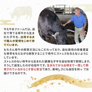 石垣牛 特選 サーロインステーキ 250g×2枚 E-51