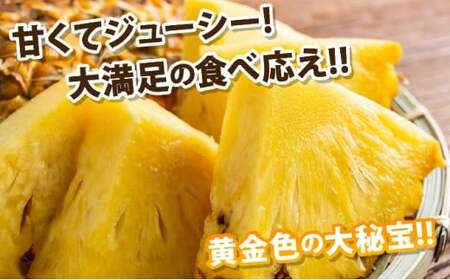 【先行予約2026年5月下旬ころから順次発送】最高糖度20度！？石垣島産完熟ゴールドバレル 1玉 約1.7kg