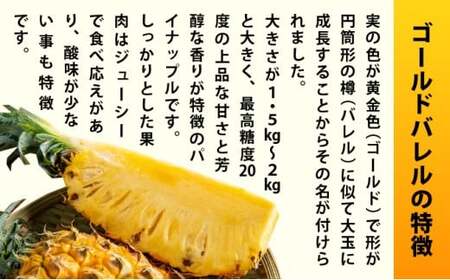 【先行予約2026年5月下旬ころから順次発送】最高糖度20度！？石垣島産完熟ゴールドバレル 1玉 約1.7kg
