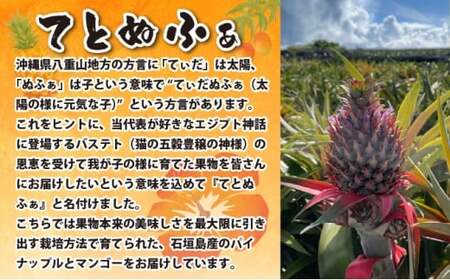 【先行予約2026年5月下旬ころから順次発送】最高糖度20度！？石垣島産完熟ゴールドバレル 1玉 約1.7kg