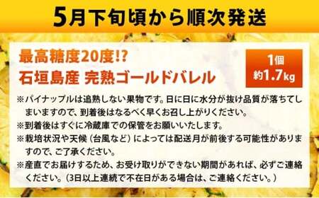【先行予約2026年5月下旬ころから順次発送】最高糖度20度！？石垣島産完熟ゴールドバレル 1玉 約1.7kg
