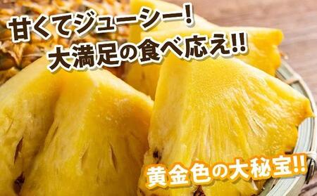 【先行予約2026年5月下旬順次発送】最高糖度20度！？石垣島産完熟ゴールドバレル 2玉 約2.5kg