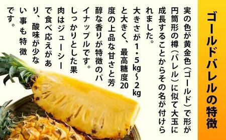 【先行予約2026年5月下旬順次発送】最高糖度20度！？石垣島産完熟ゴールドバレル 2玉 約2.5kg