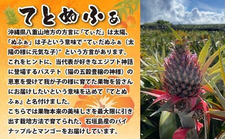 【先行予約2026年5月下旬順次発送】最高糖度20度！？石垣島産完熟ゴールドバレル 2玉 約2.5kg