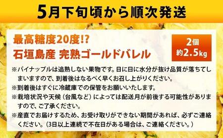 【先行予約2026年5月下旬順次発送】最高糖度20度！？石垣島産完熟ゴールドバレル 2玉 約2.5kg