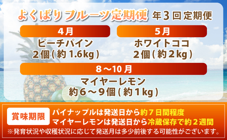 《2026年4月以降発送》果物好きにおすすめ！希少なパイナップル2品種＆青切りマイヤーレモンの定期便　年3回に分けてお送りします