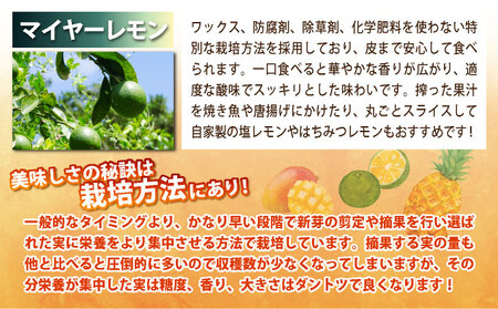 《2026年4月以降発送》果物好きにおすすめ！希少なパイナップル2品種＆青切りマイヤーレモンの定期便　年3回に分けてお送りします