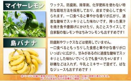 《2026年4月以降発送》島のおいしいを贅沢に！パイナップル2種とマンゴー、マイヤーレモンのよくばり定期便　年4回に分けてお送りします