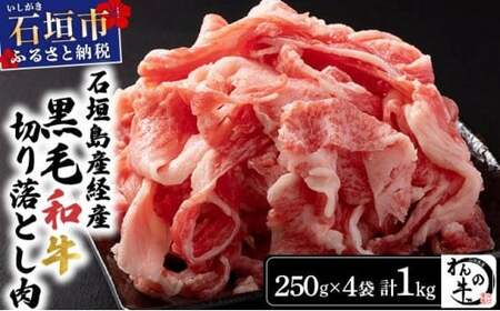 ＜わんの牛＞石垣島産経産黒毛和牛 切り落とし 250g×4袋 合計1kg NA-02