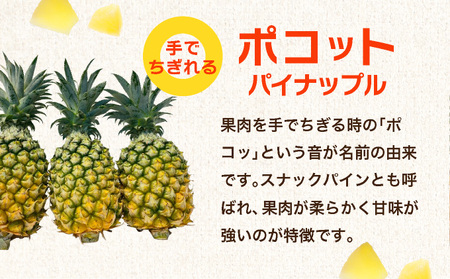 石垣島産フローズンパイナップル3種食べ比べセット 【PU-01】