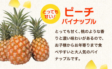 石垣島産フローズンパイナップル3種食べ比べセット 【PU-01】