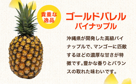 石垣島産フローズンパイナップル3種食べ比べセット 【PU-01】