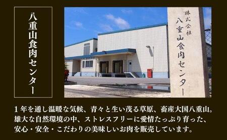 【2026年1月発送】石垣産経産牛ハンバーグ150g×6/箱