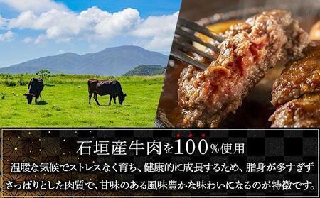 【2026年3月発送】石垣産経産牛ハンバーグ150g×6/箱