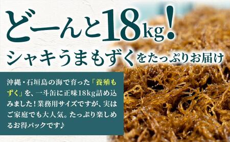 石垣島産・塩もずく（業務用一斗缶・18kg） KS-12
