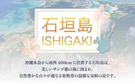 石垣パッケージ旅行補助券(90,000円分) OTI-02