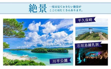 石垣パッケージ旅行補助券(90,000円分) OTI-02