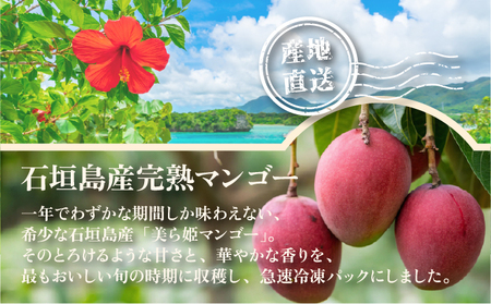 冷凍美ら姫マンゴー 1kg(500g×2袋)CB-3