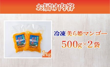 冷凍美ら姫マンゴー 1kg(500g×2袋)CB-3