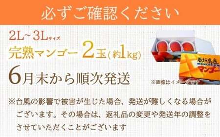 【2026年6月末から順次発送】2L～3L マンゴー2～3玉（約1kg） 【 産地直送 旬 フルーツ 新鮮 完熟 マンゴー 石垣 沖縄 】KP-24