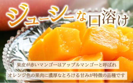 【2026年6月末から順次発送】2L～3L マンゴー3～6玉（約2kg） 【 産地直送 旬 フルーツ 新鮮 完熟 マンゴー 石垣 沖縄 】KP-25