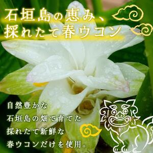 石垣島産100% 濃縮うこん 300ml×2本 CK-12