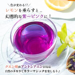 石垣島産100%濃縮バタフライピー 2本 CK-14