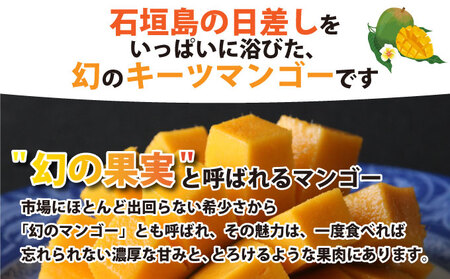 ＜わんのマンゴー＞石垣島産マンゴー【キーツ】約1.2kg前後（1?2玉）