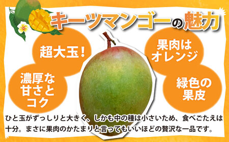 ＜わんのマンゴー＞石垣島産マンゴー【キーツ】約1.2kg前後（1?2玉）