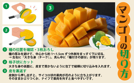 ＜わんのマンゴー＞石垣島産マンゴー【キーツ】約1.2kg前後（1?2玉）
