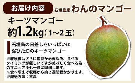 ＜わんのマンゴー＞石垣島産マンゴー【キーツ】約1.2kg前後（1?2玉）