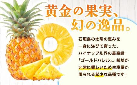 ≪5月上旬順次発送≫ゴールドバレル 中 3玉（約3.5kg） TP-16