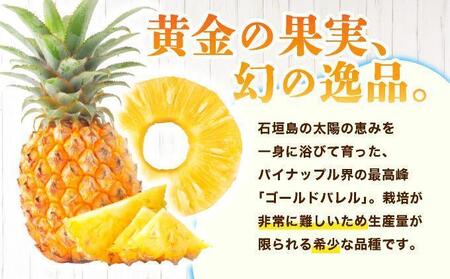 ≪5月上旬順次発送≫ 訳あり ゴールドバレル 小 3玉（約3kg） TP-18