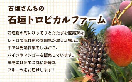 ≪5月上旬順次発送≫ 訳あり ゴールドバレル 小 3玉（約3kg） TP-18