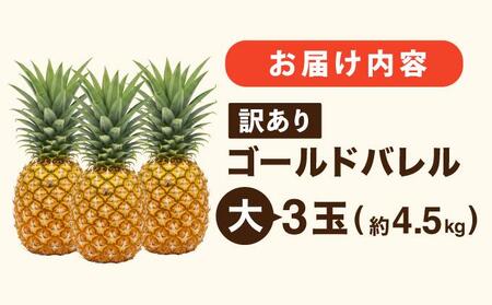 ≪5月上旬順次発送≫ 訳あり ゴールドバレル 大 3玉（約4.5kg） TP-20