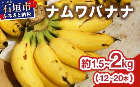 ≪2026年4～10月順次発送≫ 石垣島産 希少な国産『ナムワバナナ』を贅沢に1房丸ごと約1.5-2kg（12-20本） TF-102_R8