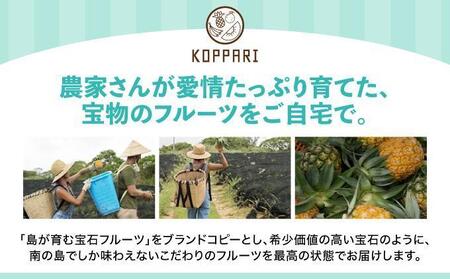 <期間限定 春フェア> 【2026年5月から発送 2回定期便】石垣島産パイナップル 約4kg ・マンゴー約1kgセット KP-21