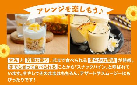 【2026年4月中旬発送】訳あり 石垣島産 スナックパイン 約4kg(4~10個)KP-01 | ふるさと納税 パイナップル 産地直送 フルーツ 果物 パイン 石垣 沖縄 沖縄県石垣市 石垣島