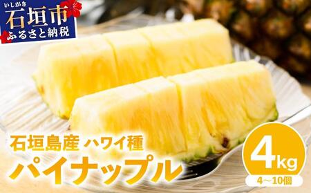 【2026年4月中旬発送】訳あり 石垣島産 ハワイ種パイナップル 約4kg（4～10個）KP-02 | ふるさと納税 パイナップル 産地直送 フルーツ 果物 パイン 石垣 沖縄 沖縄県石垣市 石垣島