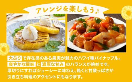 【2026年4月中旬発送】訳あり 石垣島産 ハワイ種パイナップル 約4kg（4～10個）KP-02 | ふるさと納税 パイナップル 産地直送 フルーツ 果物 パイン 石垣 沖縄 沖縄県石垣市 石垣島