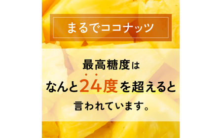 <先行予約> ホワイトココ パイン 2~3玉 計2~3kg <6月中旬より順次発送>【 産地直送 沖縄 石垣 フルーツ パイナップル パイン ホワイトココ 】 SI-50