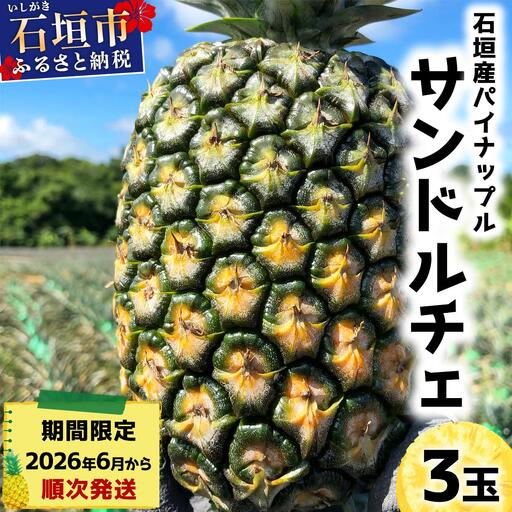 ＜先行予約＞ 石垣島産パイナップル サンドルチェ 3玉 (約3kg) ＜2026年6月上旬順次発送＞｜産地直送 沖縄 石垣 パイナップル パイン フルーツ トロピカル 南国